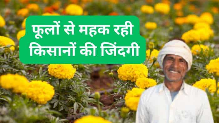 sarkari yojana Goa marigold cultivators reap benefits of govt subsidy know all details