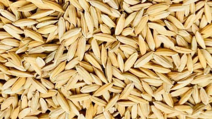 paddy procurement Centre procures 121 LT paddy from Punjab so far 65 percent of target