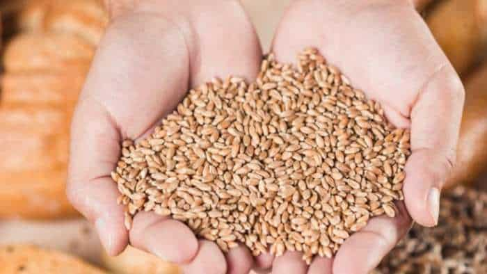 rabi crops wheat sowing on track despite delayed paddy harvest in punjab and haryana agriculture secretary