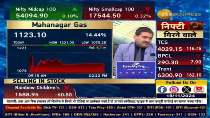 IGL, MGL, Adani Gas के आवंटन में कटौती