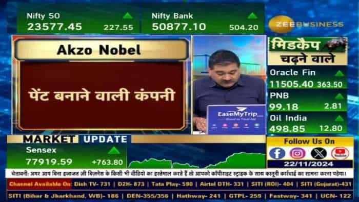 Akzo Nobel India के तिमाही नतीजों के लिए क्या रहे अहम ट्रिगर्स?