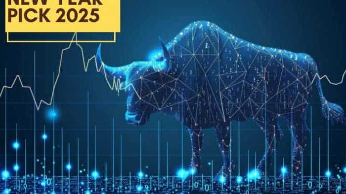 Stocks to buy for new year pick 2025 buy craftsman automation and Zomato for high return check target price