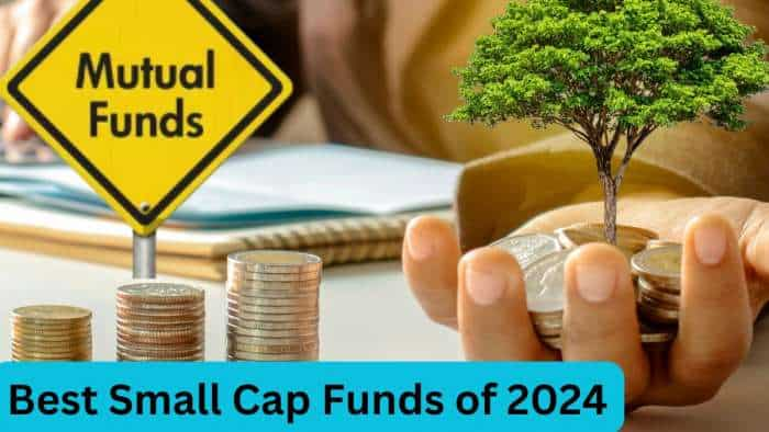 Best Small Cap Funds of 2024 Motilal Oswal Small Cap Fund gave most 47 percent return