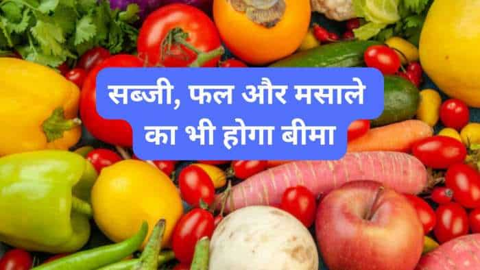 crop insurance now farmers to get bima cover for vegetables fruits and spices under Mukhyamantri Bagwani Bima Yojana