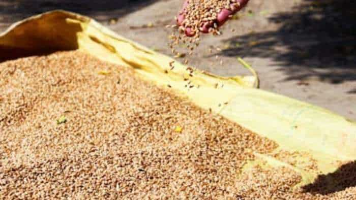 Govt permits export of 2 lakh tonne wheat to Nepal