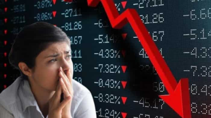 psu sarkari stocks crash in 2025 or not Shareholders got tensed after seeing index report