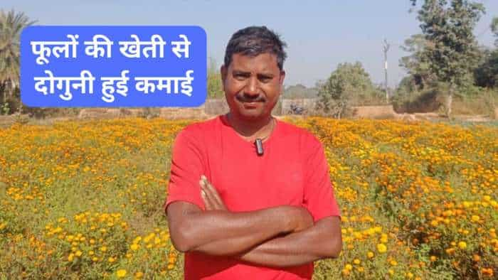 Success Story farmers income double through marigold farming genda phool ki kheti agri business idea