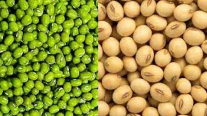 Moong-Soybean Procurement on MSP deadline increases now farmers sell crop on this date check details