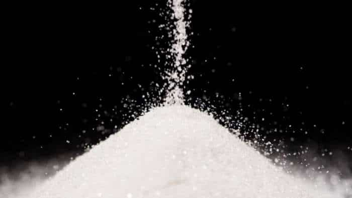 Government allows export of 10 lakh tonnes sugar in ongoing 2024-25 season