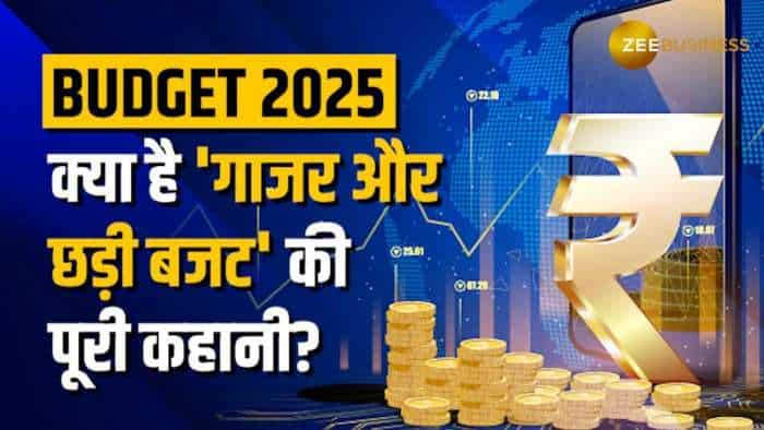 'गाजर और छड़ी': लाइसेंस राज खत्म करने वाला ऐतिहासिक बजट, क्या है पूरी कहानी?