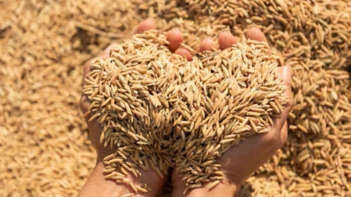 paddy procurement Chhattisgarh procures more than 149 lakh tonnes of paddy breaks record