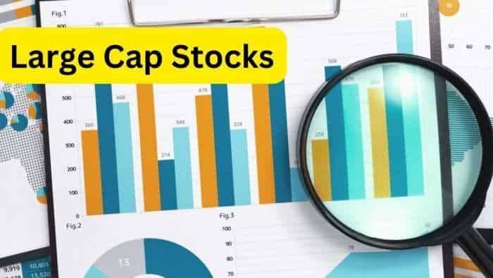  66% तक रिटर्न दिलाएंगे ये 5 लार्जकैप Stocks, पोर्टफोलियो में करें शामिल 