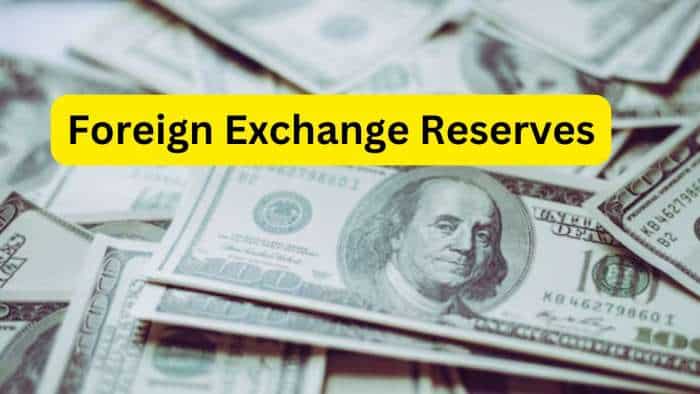 Forex Reserves: लगातार छठे हफ्ते बढ़ा विदेशी मुद्रा भंडार, 1.57 अरब डॉलर बढ़कर हो गया इतना India forex reserves climb for sixth week topping 677 Billion dollar