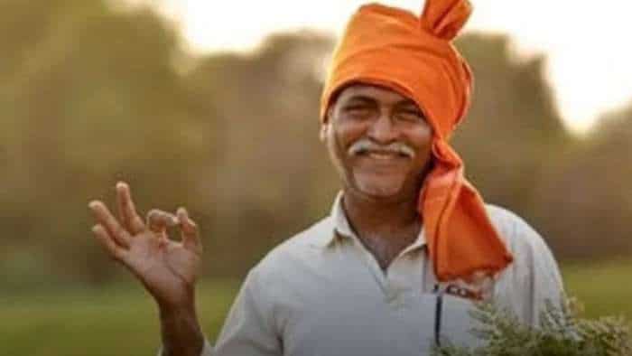uttarakhand government giving subisdy on millets, dragon fruits and kiwi farming check details