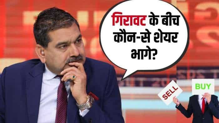  गिरावट के बीच कौन-से शेयर भागे? जानें किन सेक्टर्स पर फोकस करना हो सकता है सही 
