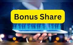  Bonus Share: ₹34 के शेयर के निवेशकों की मौज, मिलेगा 1 शेयर पर दूसरा शेयर फ्री- आपके पास है? 