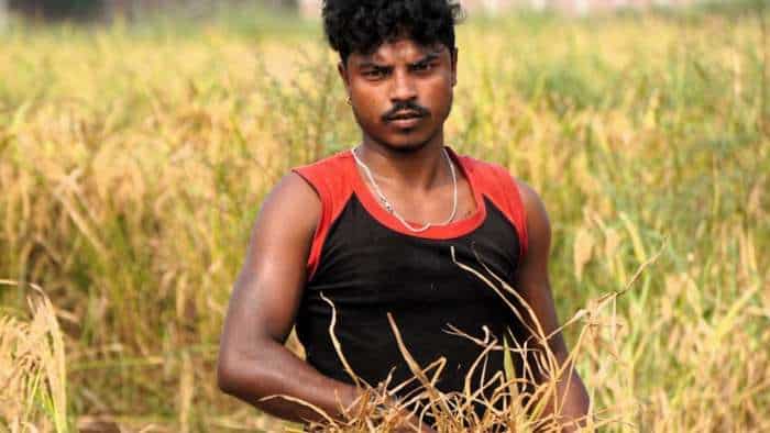 PMFBY Centre to disburse rs 3200 crore in crop insurance to 30 lakh farmers on 11 August 2025