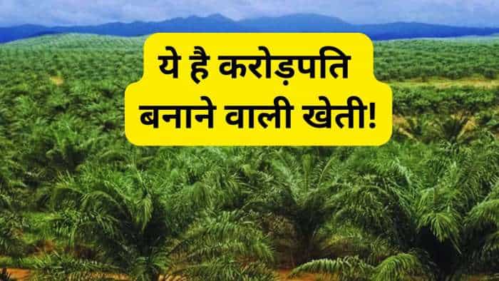  ये है करोड़पति बनाने वाली खेती! एक बार लगाएं 30 साल तक कमाएं, सरकार भी देगी लाखों 