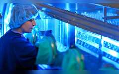  40% कमाई का मौका! Piramal Pharma का शेयर साल के निचले स्तर पर, खरीदें या नहीं? 