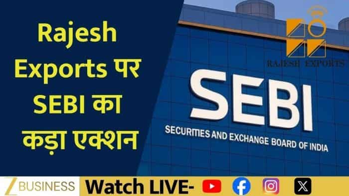 Rajesh Exports, Rajesh Exports News, SEBI Action, SEBI Order, Stock Market News, Market News, Corporate Governance, Investor Protection, Financial Reporting, Share Market News, Stock Market Today, Indian Stock Market