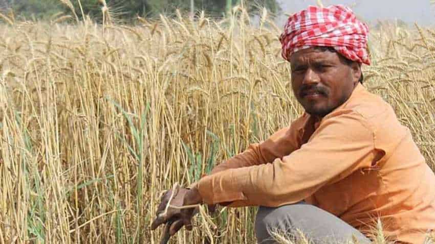 किसानों की आय दोगुनी करने के लिए मोदी सरकार अगले हफ्ते ला सकती है नई पॉलिसी