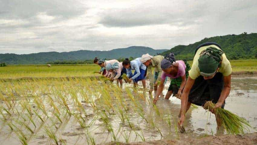 किसानों के लिए अच्छी खबर, खराब बीज की वजह से फसल नहीं होगी खराब