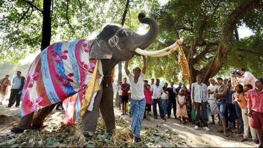 विश्व प्रसिद्ध सोनपुर मेला शुरू, नहीं होगी हाथियों की बिक्री