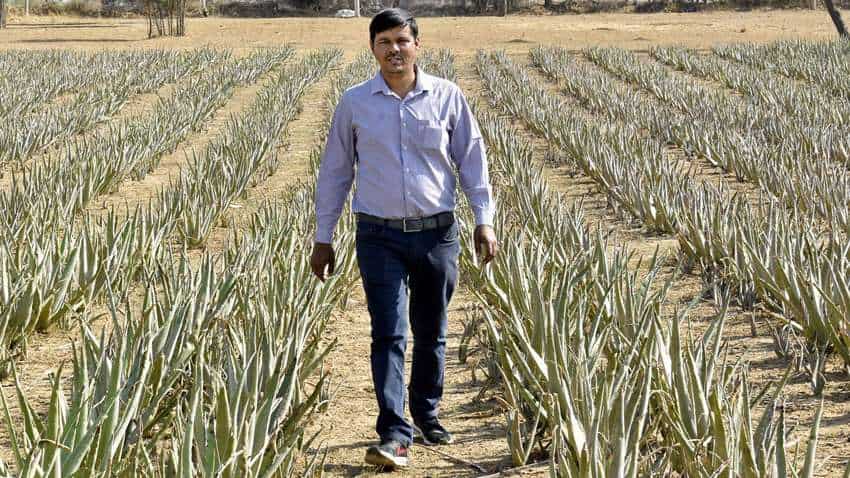 जड़ी-बूटी की खेती से राजस्थान का किसान बना 'करोबारी', विदेशों में मिली पहचान