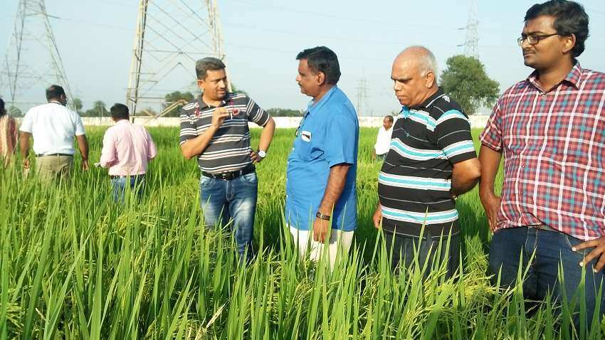 फसल बीमा योजना में पारदर्शिता की कमी सहित कई समस्याएं, संसदीय समिति की रिपोर्ट 