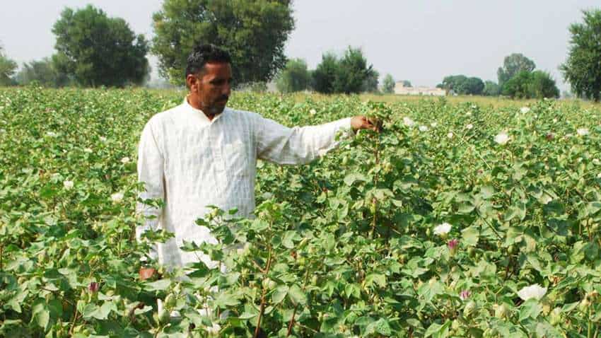 राजस्थान में जल्द होगा किसानों का कर्जमाफ, राज्य सरकार ने बनाई यह योजना