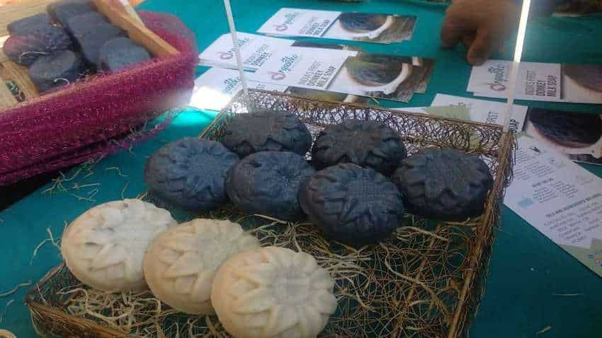 सेहत का खजाना है गधी का दूध, युवा स्टार्टअप ने तैयार किया Donkey Milk Soap