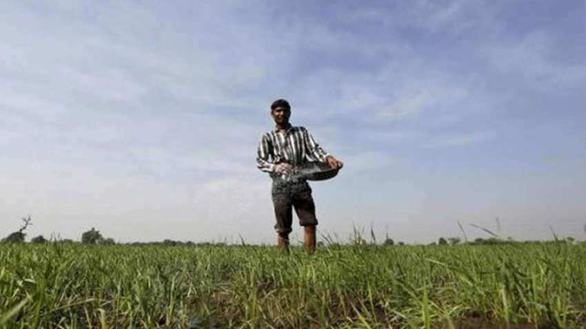 राजस्थान में किसानों को कर्ज से जल्द मिलेगी राहत, 7 फरवरी से मिलेंगे ऋणमाफी प्रमाण-पत्र