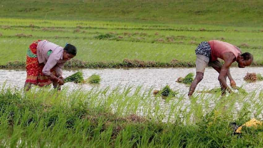 वर्षा सिंचित खेती की संभावनाएं बढ़ाने से 7-8 प्रतिशत पर पहुंच सकती है कृषि वृद्धि दर: एनआरएए
