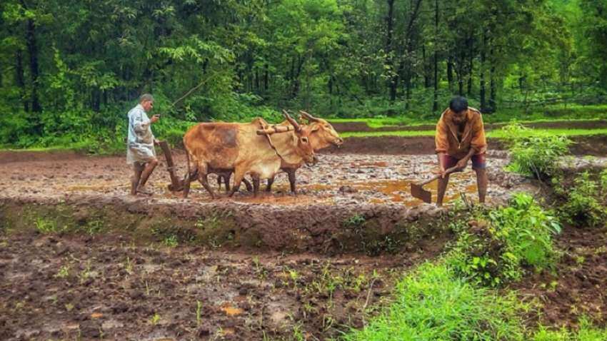 PM मोदी 24 फरवरी को किसानों को देंगे पहली किस्‍त, करेंगे किसान योजना का उद्घाटन