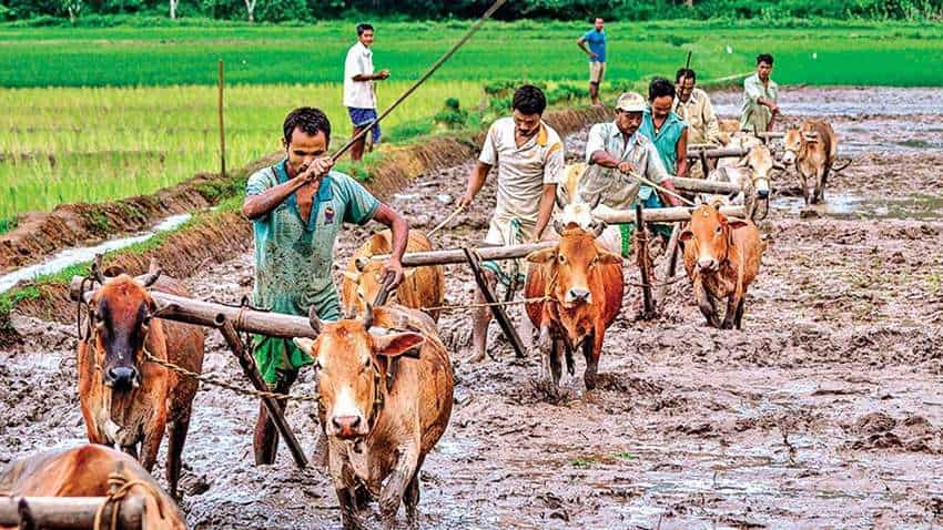 इन राज्‍यों ने अपलोड नहीं किया ब्‍योरा, 67.82 लाख किसान पीएम-किसान योजना के लाभ से वंचित