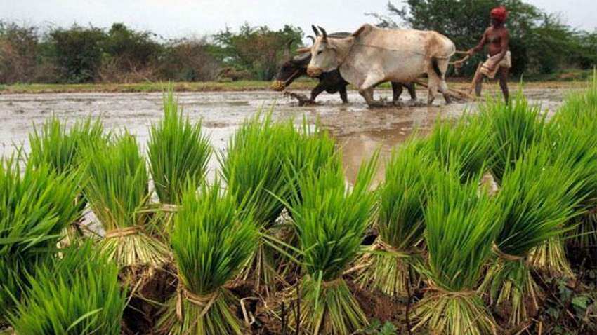 IMD ने जताई संभावना, इस बार मॉनसून में होगी बंपर बारिश, अलनीनो का खतरा नहीं