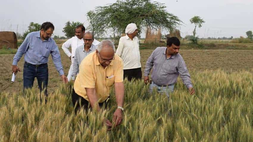 खेतों में लगेगी पाठशाला, किसानों को बताए जाएंगे आमदनी बढ़ाने के गुर