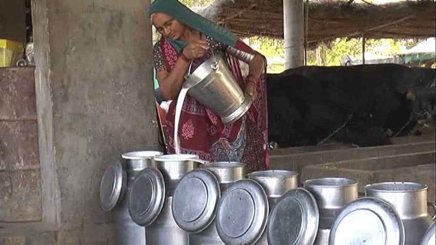 गांव की महिला का कमाल, पशुपालन के काम से ही कमाए सालाना 80 लाख रुपए