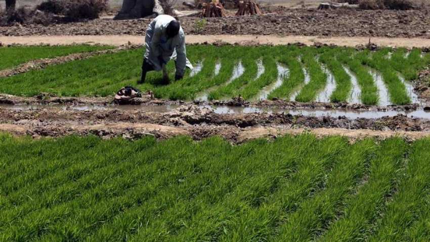 Budget 2019: मोदी सरकार 2.0 के पहले बजट से गांव-किसान को क्या मिला?