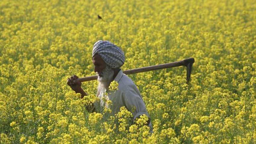 यहां किसानों को मिलेगा बड़ा फायदा, फूड प्रोसेसिंग में हुआ 1200 करोड़ रुपये का निवेश