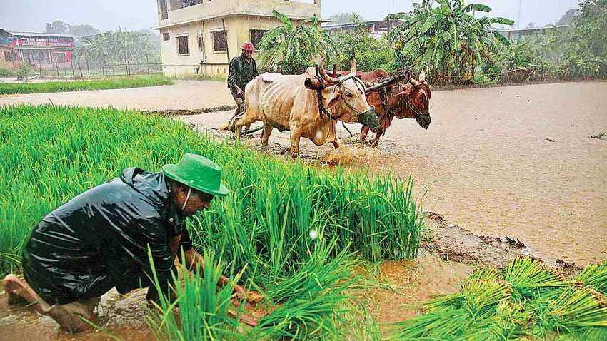 बारिश से हुए नुकसान का ऐसे मिलेगा क्‍लेम, बीमा कंपनियों ने जारी किया अलर्ट