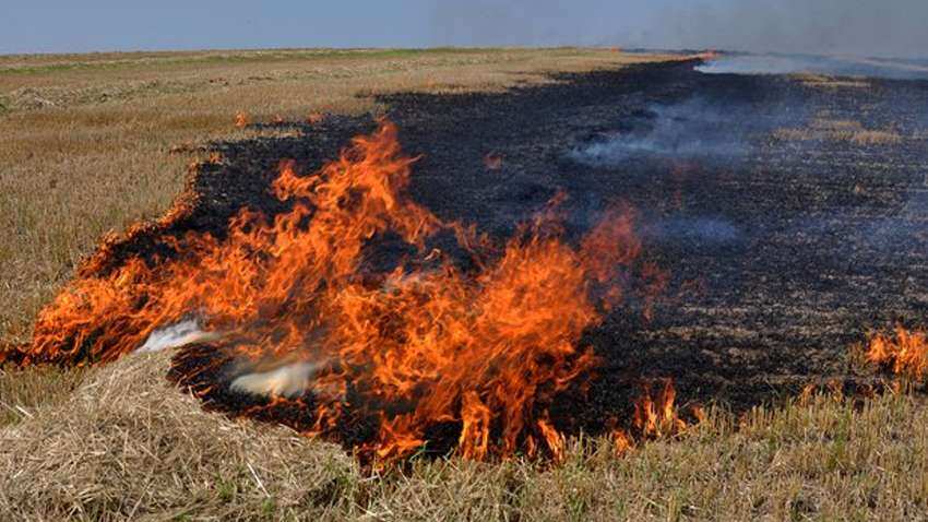 इस बार धान के खेतों से नहीं उठेगा जहरीला धुआं, सरकार ने की यह तैयारी