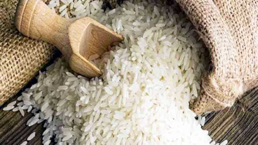 बासमती चावल की इस साल होगी बंपर पैदावार, धान का रकबा 36 प्रतिशत बढ़ा