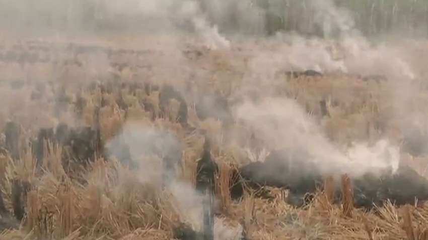 पराली के प्रदूषण से मिल सकता है छुटकारा, कृषि वैज्ञानिक स्वामीनाथन ने दिया यह सुझाव