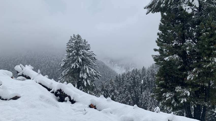 Weather Update: मौसम विभाग ने इस राज्य में भारी बारिश का दिया अलर्ट, पहाड़ों में होगी बर्फबारी