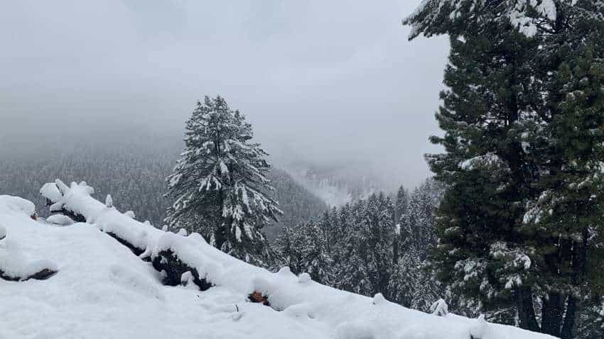 Weather Update: इन राज्यों में बेहद ठंडा रहेगा दिन, बढ़ेगा कोहरा 