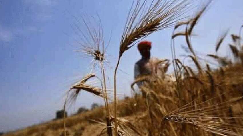 सभी किसानों को नहीं मिलेगा PM Kisan निधि का फायदा, सरकार ने बजट कम किया