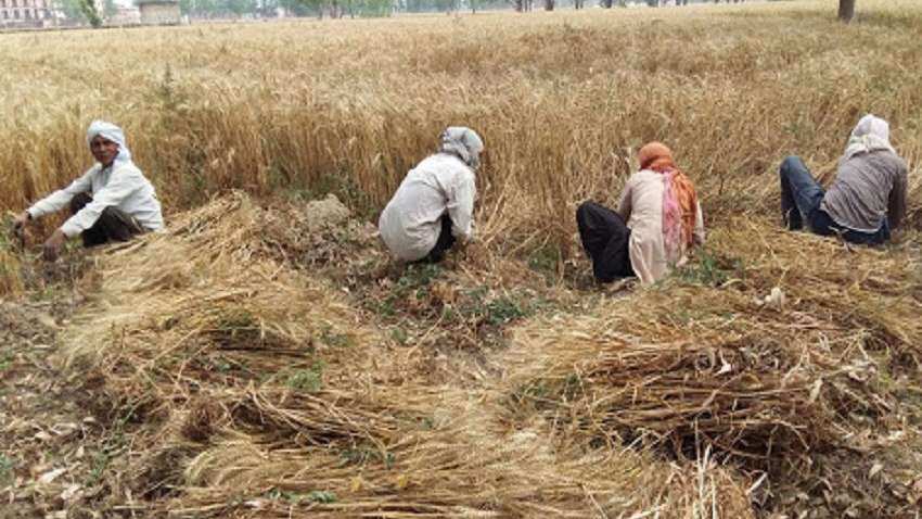 किसान खुद को कैसे बचाएं कोरोना के कहर से, फसल कटाई में बरतें एहतियात