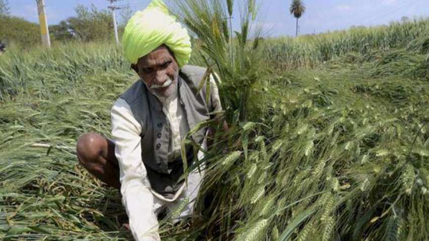 किसानों को राहत पहुंचाने के लिए शुरू हुए प्रयास, निर्यात बढ़ाने को उठाए जा रहे कदम