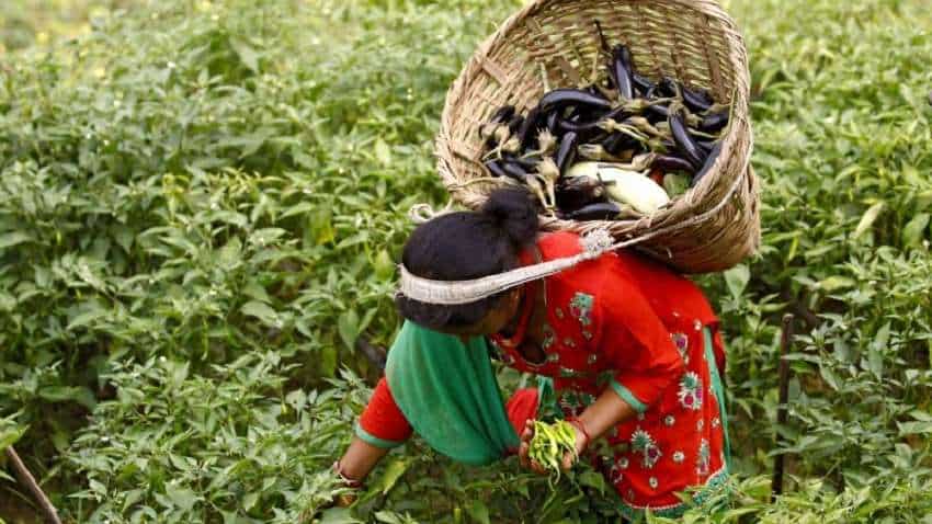 'जोहार परियोजना' से बदल रहे हैं गांव, महिला किसानों को मिल रहा है बाजार
